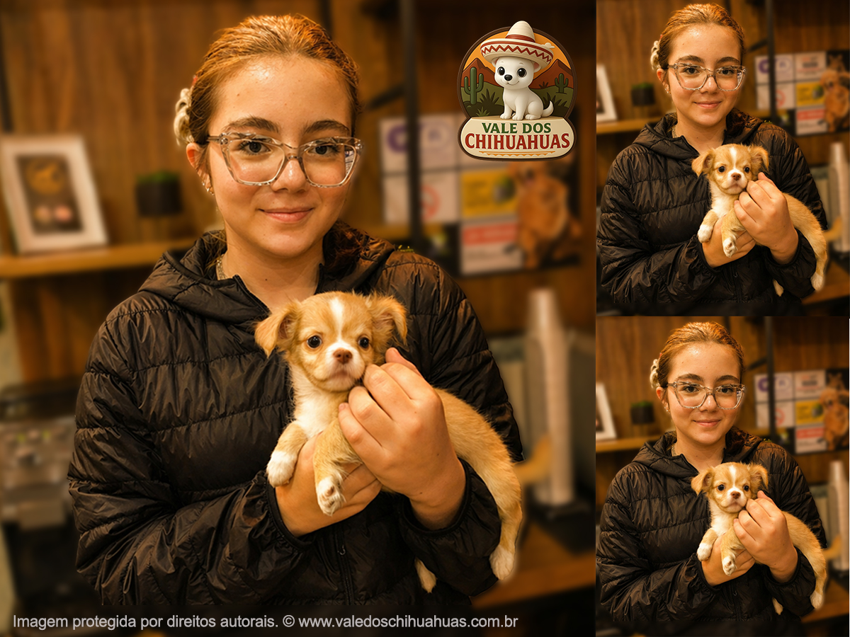 Vale dos Chihuahuas Client