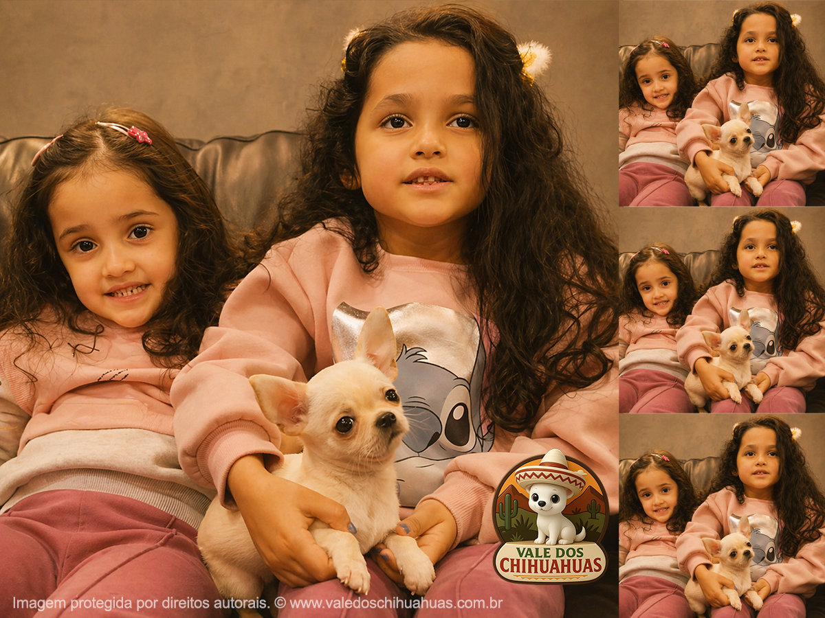 Vale dos Chihuahuas Client