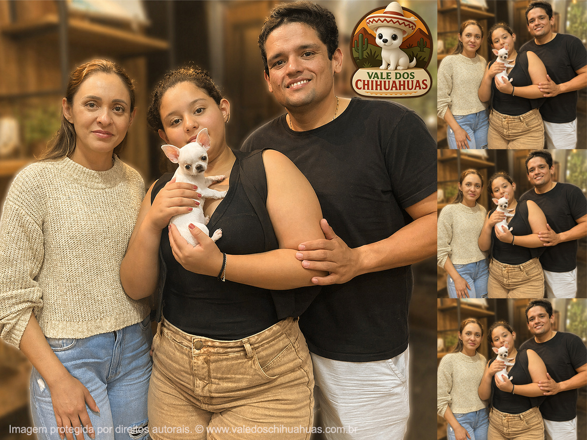 Cliente Vale dos Chihuahuas