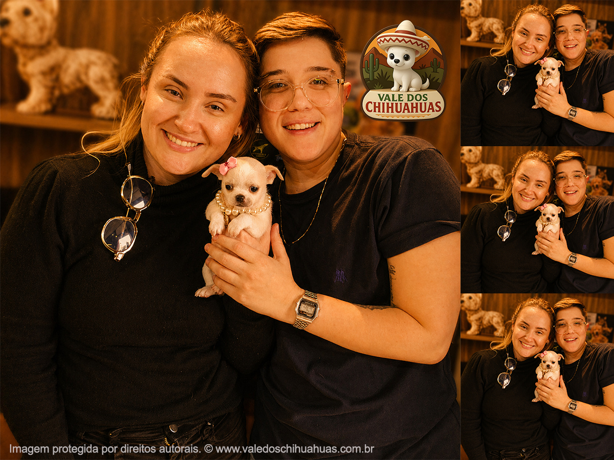 Cliente Vale dos Chihuahuas
