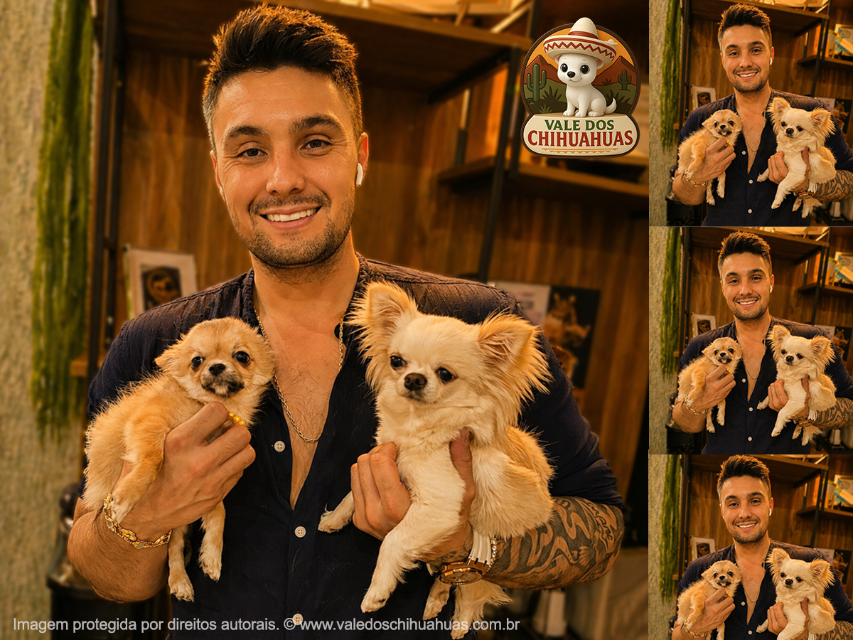 Cliente Vale dos Chihuahuas