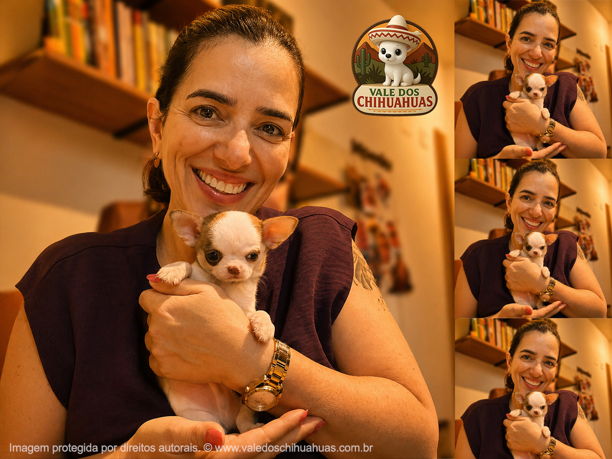 Cliente Vale dos Chihuahuas